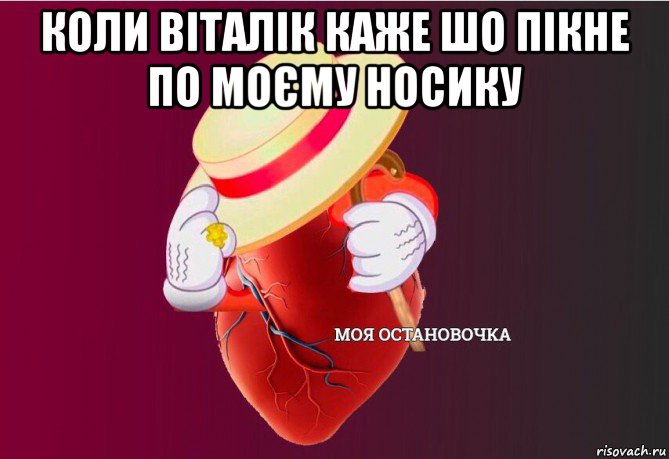 коли віталік каже шо пікне по моєму носику , Мем   Моя остановочка