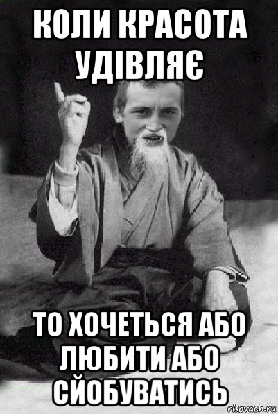 коли красота удівляє то хочеться або любити або сйобуватись, Мем Мудрий паца