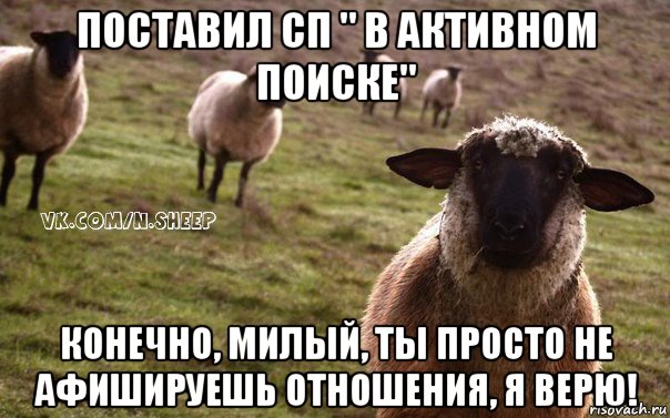 поставил сп " в активном поиске" конечно, милый, ты просто не афишируешь отношения, я верю!, Мем  Наивная Овца