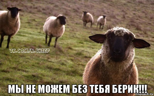  мы не можем без тебя берик!!!