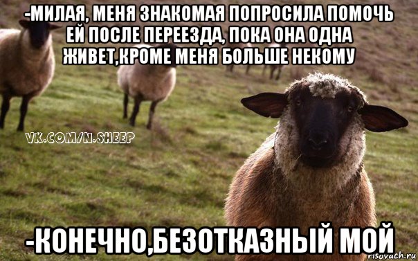 -милая, меня знакомая попросила помочь ей после переезда, пока она одна живет,кроме меня больше некому -конечно,безотказный мой