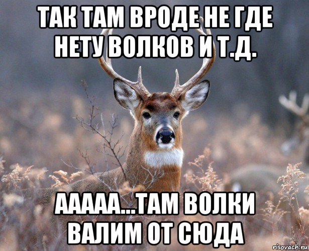 так там вроде не где нету волков и т.д. ааааа...там волки валим от сюда, Мем   Наивный олень