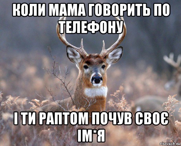 коли мама говорить по телефону і ти раптом почув своє ім*я, Мем   Наивный олень