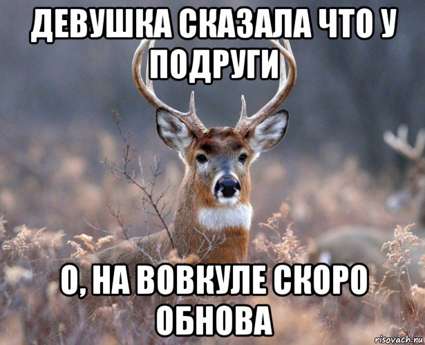 девушка сказала что у подруги о, на вовкуле скоро обнова, Мем   Наивный олень