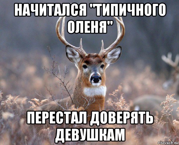 начитался "типичного оленя" перестал доверять девушкам, Мем   Наивный олень