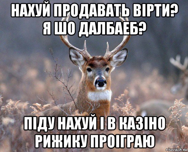 нахуй продавать вірти? я шо далбаеб? піду нахуй і в казіно рижику проіграю, Мем   Наивный олень