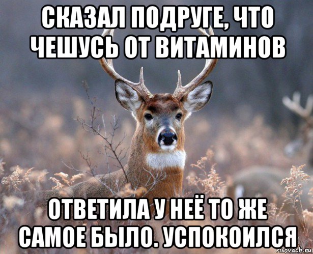 сказал подруге, что чешусь от витаминов ответила у неё то же самое было. успокоился, Мем   Наивный олень