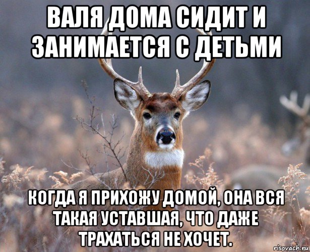 валя дома сидит и занимается с детьми когда я прихожу домой, она вся такая уставшая, что даже трахаться не хочет., Мем   Наивный олень