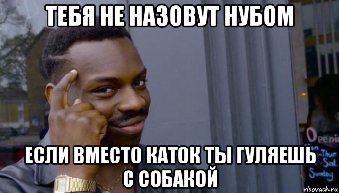 тебя не назовут нубом если вместо каток ты гуляешь с собакой, Мем Не делай не будет