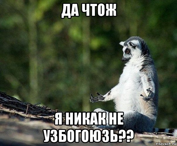 да чтож я никак не узбогоюзь??, Мем не узбагоюсь