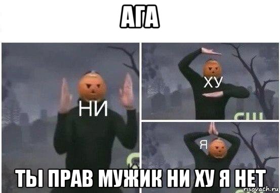 ага ты прав мужик ни ху я нет, Мем  Ни ху Я