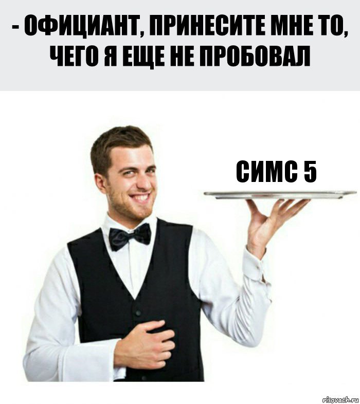 симс 5, Комикс Официант