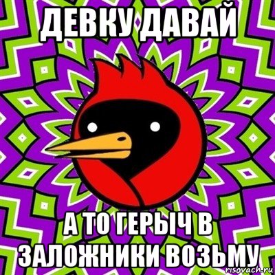 девку давай а то герыч в заложники возьму, Мем Омская птица