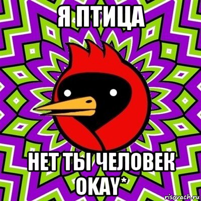 я птица нет ты человек okay*, Мем Омская птица