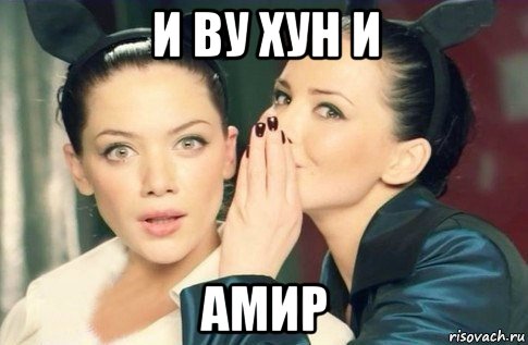 и ву хун и амир, Мем  Он