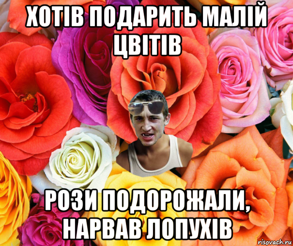 хотів подарить малій цвітів рози подорожали, нарвав лопухів, Мем  пацанчо