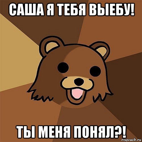 саша я тебя выебу! ты меня понял?!