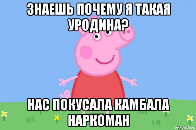 знаешь почему я такая уродина? нас покусала камбала наркоман, Мем Пеппа