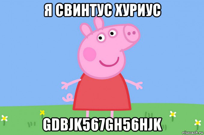 я свинтус хуриус gdbjk567gh56hjk, Мем Пеппа