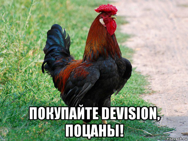  покупайте devision, поцаны!, Мем петух