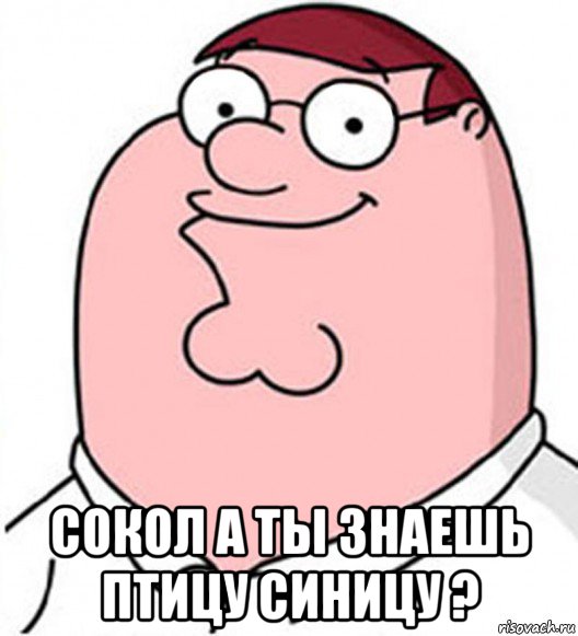  сокол а ты знаешь птицу синицу ?