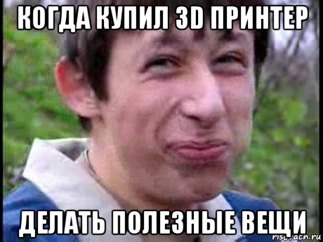 когда купил 3d принтер делать полезные вещи, Мем  Пиздун