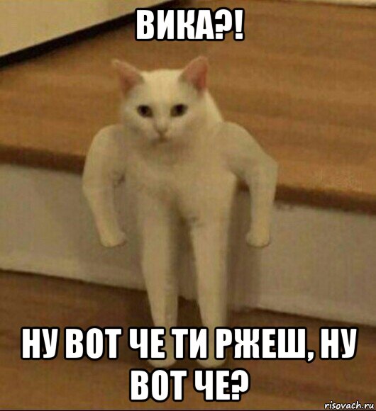 вика?! ну вот че ти ржеш, ну вот че?