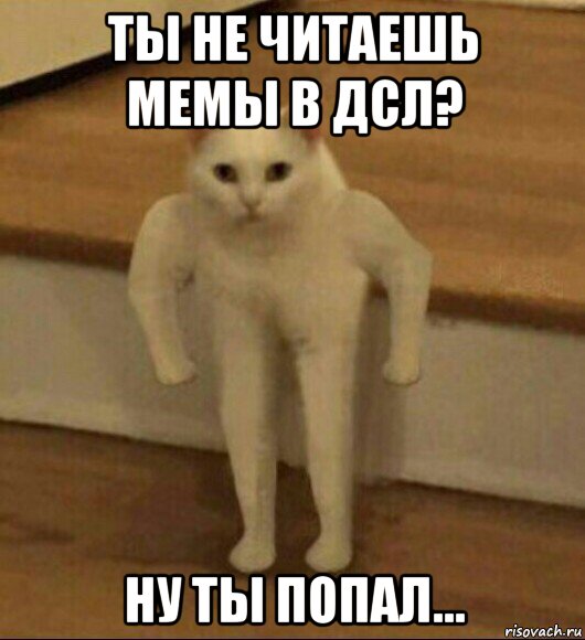 ты не читаешь мемы в дсл? ну ты попал...