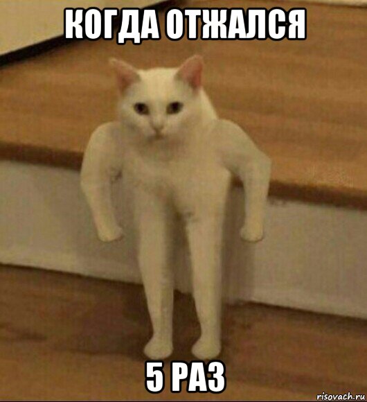 когда отжался 5 раз