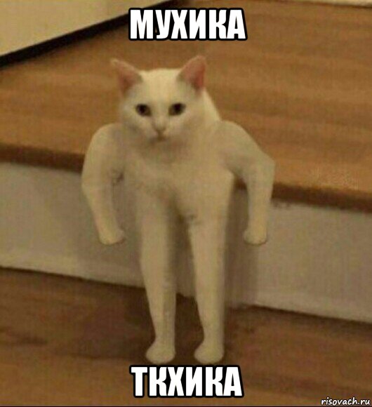 мухика ткхика