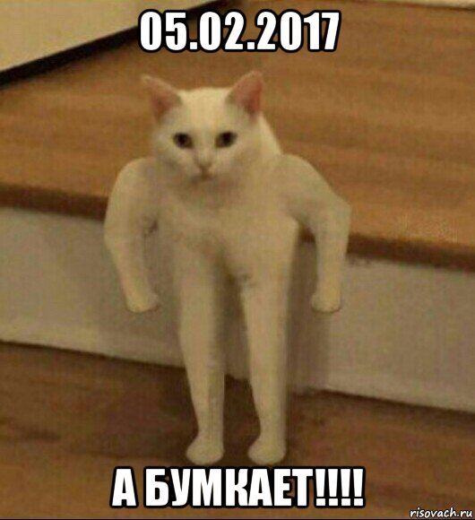 05.02.2017 а бумкает!!!!