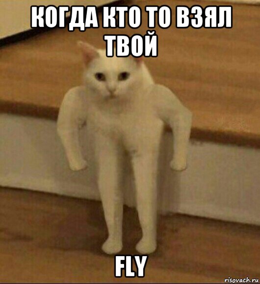 когда кто то взял твой fly, Мем  Полукот