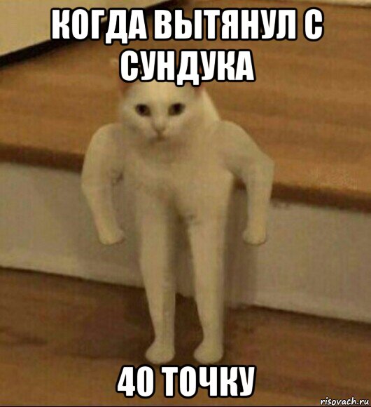 когда вытянул с сундука 40 точку