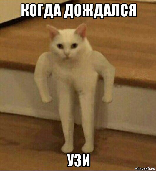 когда дождался узи