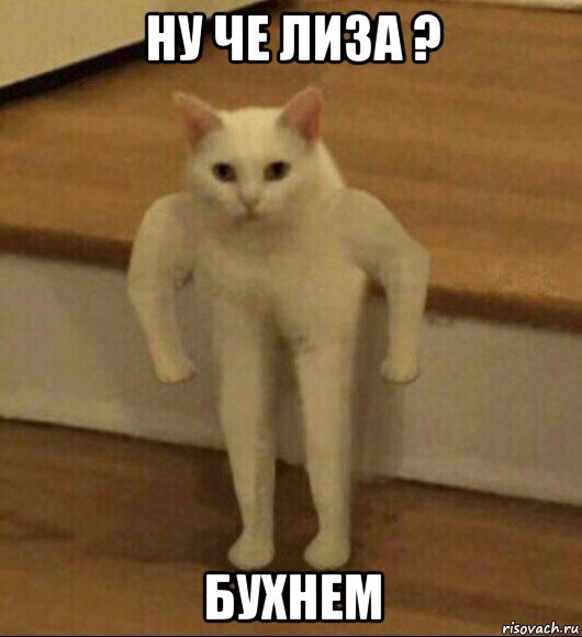 ну че лиза ? бухнем