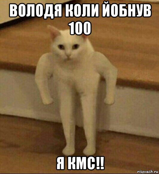 володя коли йобнув 100 я кмс!!, Мем  Полукот