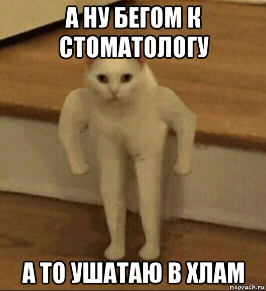 а ну бегом к стоматологу а то ушатаю в хлам