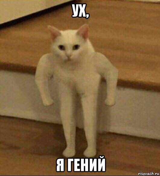 ух, я гений, Мем  Полукот