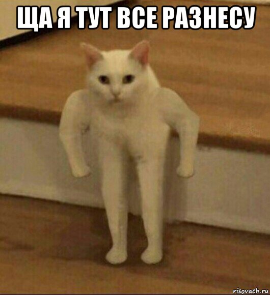 ща я тут все разнесу 