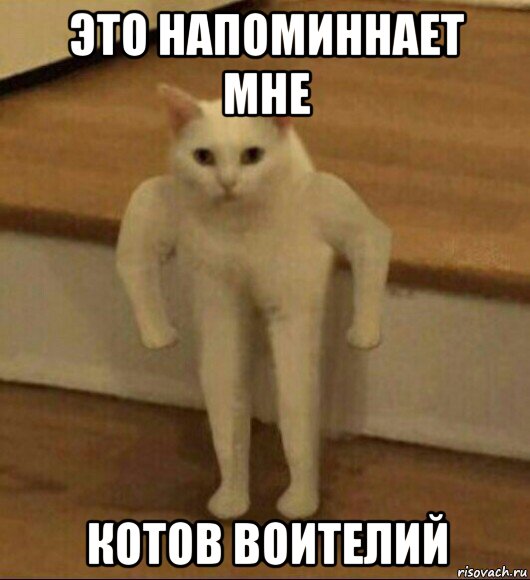 это напоминнает мне котов воителий