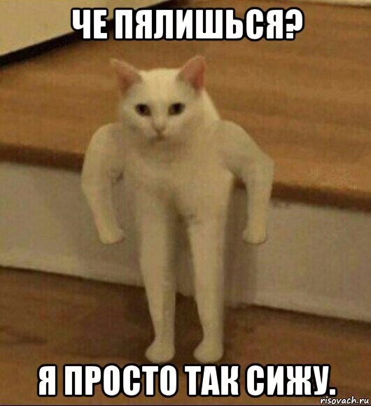 че пялишься? я просто так сижу.