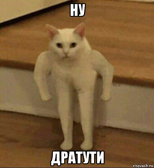 ну дратути, Мем  Полукот