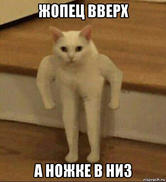 жопец вверх а ножке в низ