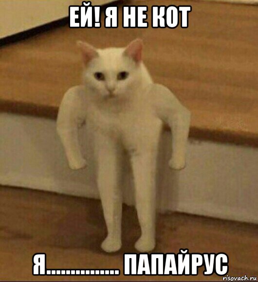 ей! я не кот я............... папайрус, Мем  Полукот