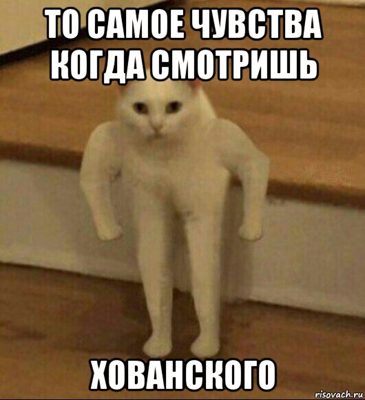 то самое чувства когда смотришь хованского