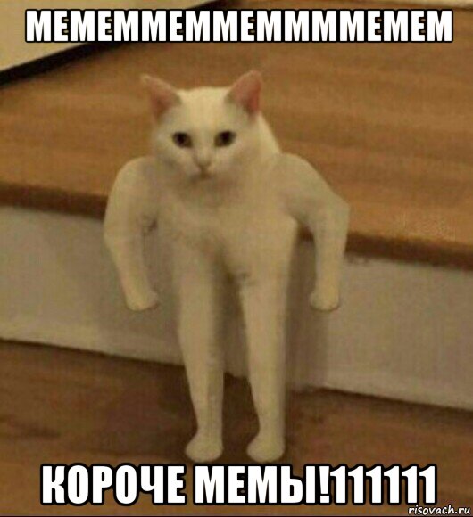 мемеммеммеммммемем короче мемы!111111