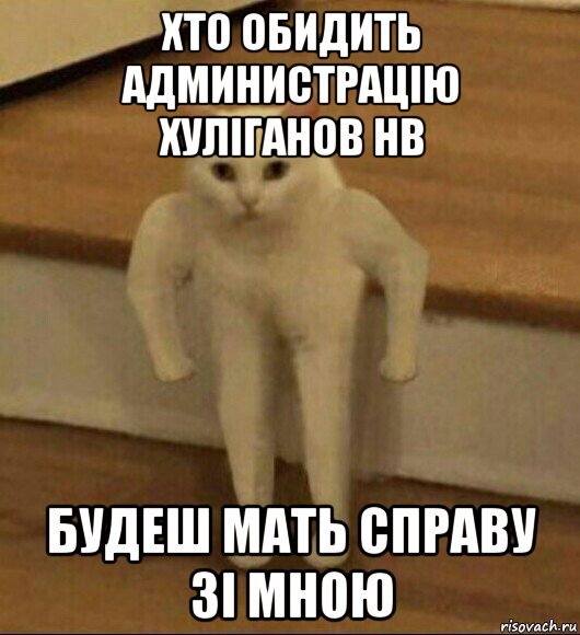 хто обидить администрацію хуліганов нв будеш мать справу зі мною, Мем  Полукот