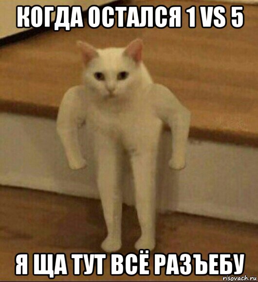 когда остался 1 vs 5 я ща тут всё разъебу, Мем  Полукот