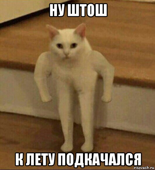 ну штош к лету подкачался