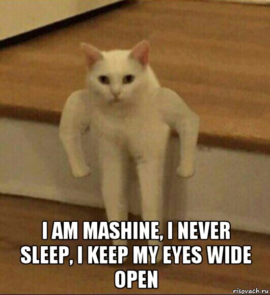  i am mashine, i never sleep, i keep my eyes wide open, Мем  Полукот